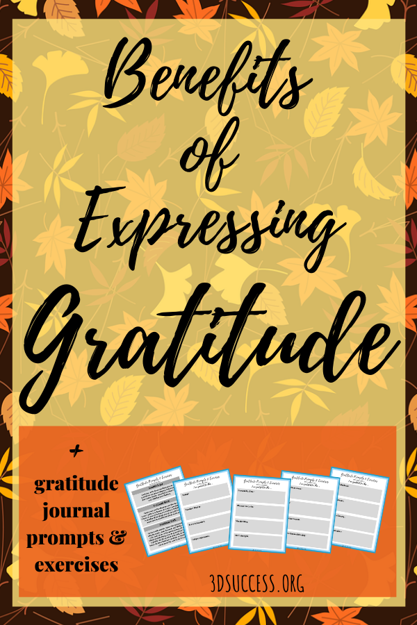 Express Gratitude: Journal Prompts & Activities [+Freebie] - 3D Success